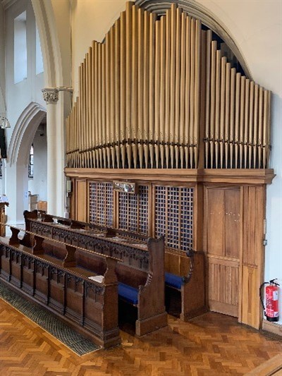 ORgan image 3